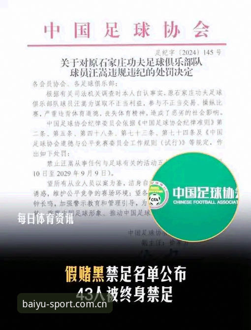 足协第三批禁足名单解读：从b体育平台视角看中国足球反腐风暴完整指南